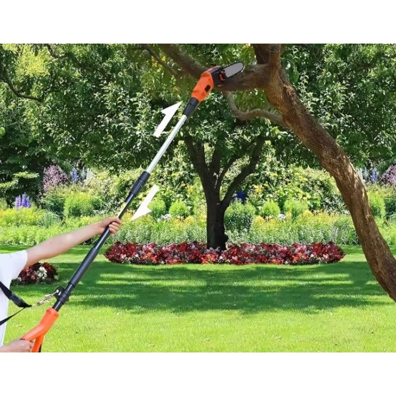 Parkside Bürstenlose Akku-Stan – Pole Saw Cordless Bewertung und Preis